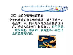 药物质量的微生物控制技术与转让前景